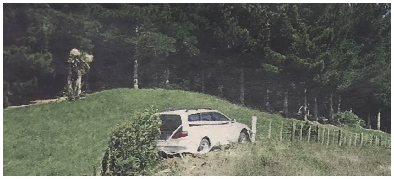 Crash_Crop